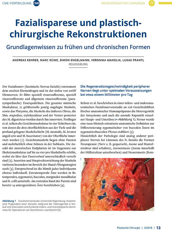 Plastische_Chirurgie_2018_03.jpg 