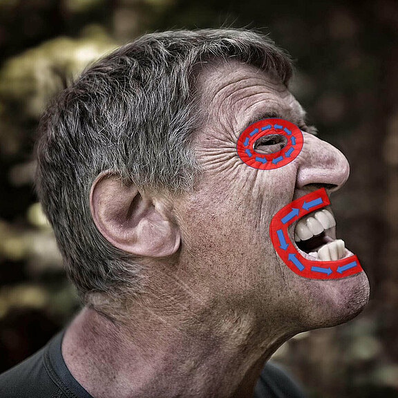 mimische_Muskulatur_1.jpg 