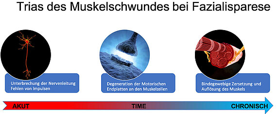 akut_vs_chronisch.jpg 